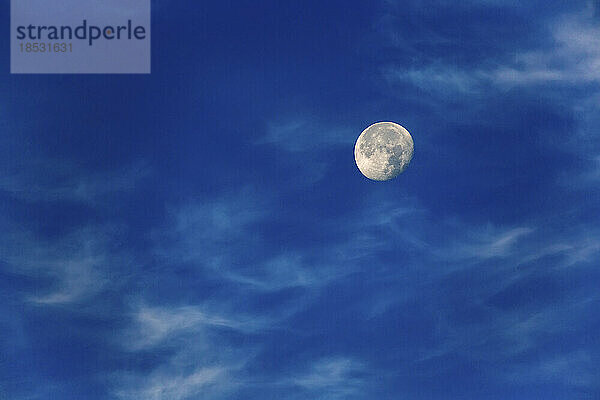 Meistens Vollmond an einem blauen Himmel mit dünnen Wolken; Calgary  Alberta  Kanada