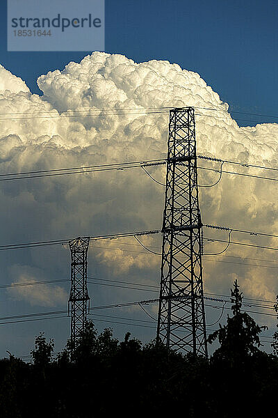 Silhouette von Metall-Strommasten mit Bäumen im Vordergrund und dramatischen Sturmwolken im Hintergrund und blauem Himmel darüber; Calgary  Alberta  Kanada