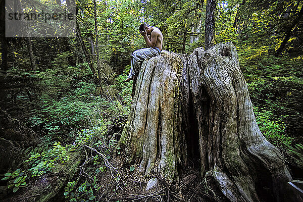 Junger Mann ohne Hemd  Kopf in den Händen  auf einem Baumstumpf in einem dichten Wald im Pacific Rim National Park  BC  Kanada; Vancouver Island  British Columbia  Kanada