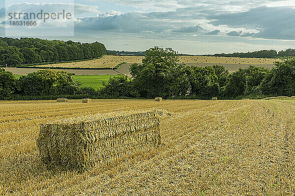 Landschaftliche Ansicht der Landschaft mit rechteckigen Strohballen  die das geerntete goldene Getreide verstreuen  Weizenfelder um Rockbourne  in der Nähe von Salisbury  unter einem stürmischen  grauen Himmel; Wiltshire  England