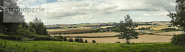 Landschaftliche Ansicht von grünen Ackerflächen und Weizenfeldern in der Umgebung von Rockbourne  in der Nähe von Salisbury  unter einem bewölkten Himmel; Wiltshire  England