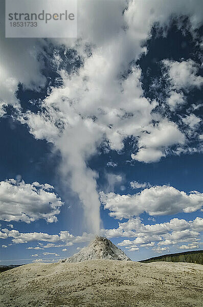 Dampf steigt aus einem Geysir im Yellowstone National Park auf; Wyoming  Vereinigte Staaten von Amerika