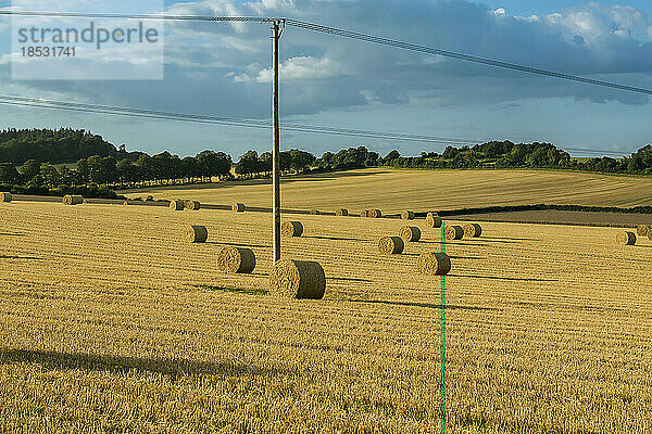 Landschaftliche Ansicht von aufgerollten Strohballen auf den goldenen Feldern um Rockbourne  in der Nähe von Salisbury  mit Versorgungsmasten  unter einem bewölkten  blauen Himmel; Wiltshire  England