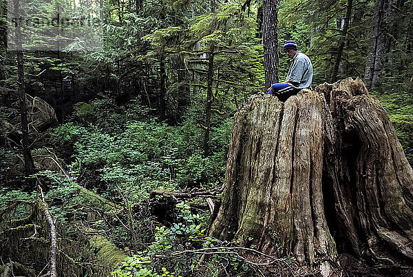 Junger Mann sitzt auf einem großen Baumstumpf in einem dichten Wald im Pacific Rim National Park  BC  Kanada; Vancouver Island  British Columbia  Kanada