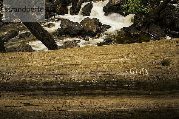 Graffiti auf einem Baumstamm in der Nähe der Bridal Veil Falls  Yosemite National Park  Kalifornien  USA; Kalifornien  Vereinigte Staaten von Amerika