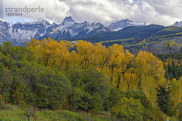 Kräftige Herbstfarben in der Landschaft von Colorado. Die Espenbäume färben sich golden  während die Tage kürzer werden; Colorado  Vereinigte Staaten von Amerika