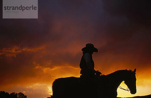 Silhouette eines Cowboys auf einem Pferd bei Sonnenaufgang vor einem dramatischen Himmel; Santa Fe  New Mexico  Vereinigte Staaten von Amerika