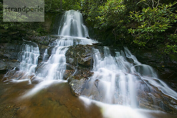 Wasserfall Laurel Falls  der sich über Felsen ergießt  im Great Smoky Mountains National Park  Tennessee  USA; Tennessee  Vereinigte Staaten von Amerika