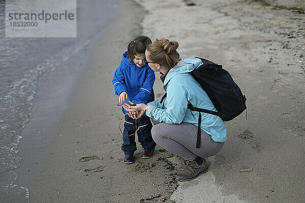 Mutter erkundet mit ihrer kleinen Tochter einen Strand  Ambleside Beach in West Vancouver; West Vancouver  British Columbia  Kanada