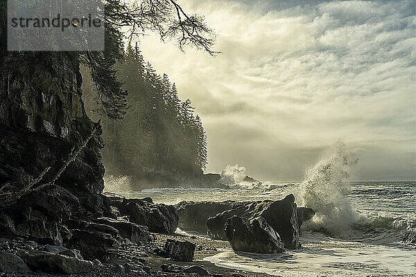 Wellen schlagen gegen die wilde Küstenlinie von Vancouver Island am Sombrio Beach; Port Renfrew  British Columbia  Kanada