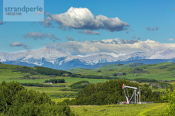 Pumpjack in einem grünen Feld mit Bäumen  sanften Hügeln  Bergkette  blauem Himmel und Wolken im Hintergrund  nördlich von Longview  Alberta; Alberta  Kanada