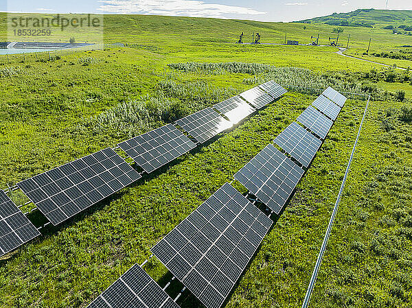 Zwei Reihen von Sonnenkollektoren auf einer grünen Wiese mit sanften Hügeln im Hintergrund  nördlich von Longview  Alberta; Alberta  Kanada