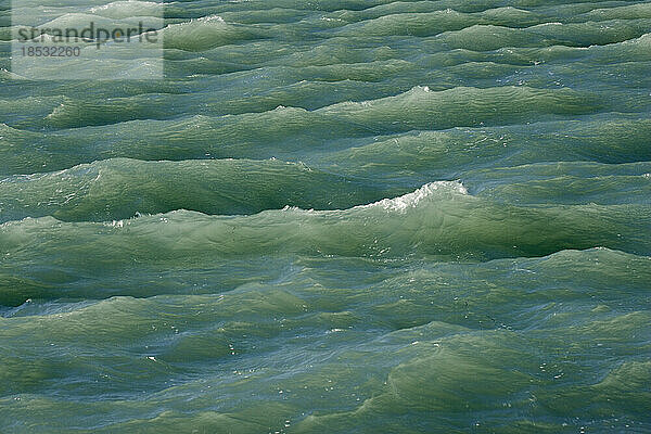 Nahaufnahme von Wellen im grünen Meerwasser; Florida  Vereinigte Staaten von Amerika