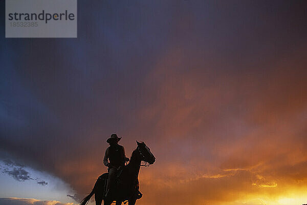 Silhouette eines Cowboys auf einem Pferd bei Sonnenaufgang vor einem dramatischen Himmel; Santa Fe  New Mexico  Vereinigte Staaten von Amerika