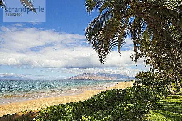 Palmen umrahmen den Keawakapu Beach mit den West Maui Mountains im Hintergrund; Kihei  Wailea  Maui  Hawaii  Vereinigte Staaten von Amerika