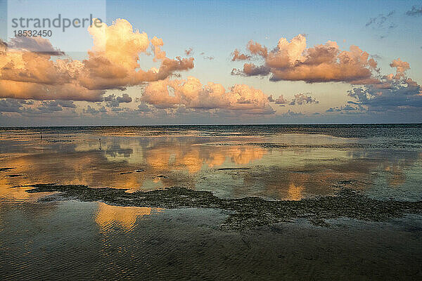 Ruhiges Wasser bei Sonnenuntergang  Ambergris Caye; Ambergris Caye  Belize