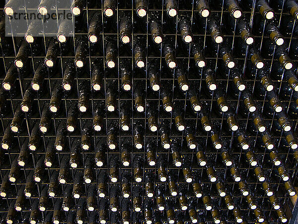 Mit Portweinflaschen gefülltes Regal; Douro-Tal  Portugal