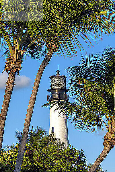 Cape Florida Light und Palmen an einem schönen  sonnigen Tag in Florida  USA; Florida  Vereinigte Staaten von Amerika