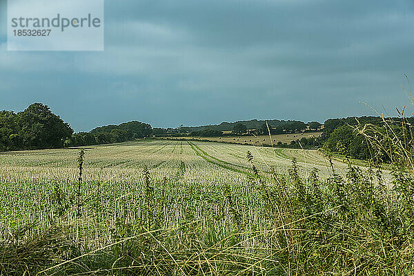 Landschaftliche Ansicht von abgeernteten Feldern mit Strohballen in der Ferne um Rockbourne  in der Nähe von Salisbury  unter einem grauen  bewölkten Himmel; Wiltshire  England
