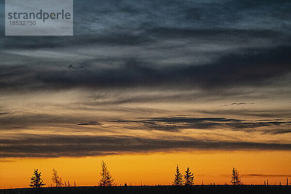 Sonnenaufgang über dem borealen Wald und dem zugefrorenen See entlang des Ufers der Hudson Bay  Manitoba  Kanada; Churchill  Manitoba  Kanada