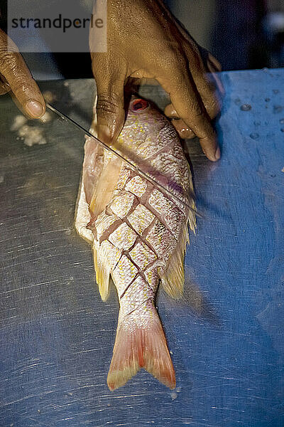 Koch bei der Zubereitung eines Fisches; Bluefields Bay  Jamaika