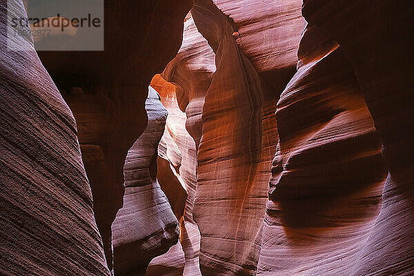 Slot Canyon in der Nähe von Page  Arizona. Wind und Wasser erzeugen erstaunliche Streifen im Sandstein in einem atemberaubenden Beispiel für Erosion; Page  Arizona  Vereinigte Staaten von Amerika