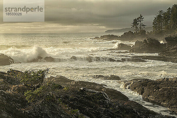 Wilde Wellen brechen an der Küstenlinie von Vancouver Island bei Port Renfrew; Port Renfrew  British Columbia  Kanada