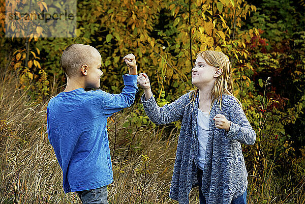 Bruder und Schwester zeigen ihre Fäuste bei einem Spielkampf in einem Park im Herbst; Edmonton  Alberta  Kanada