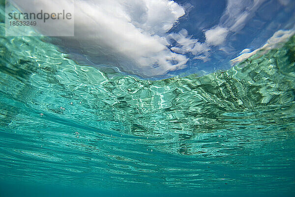 Unterwasseransicht des Himmels über blauem Wasser; Assumption Island  Seychellen