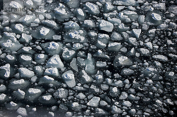 Kleine Eisstücke  die im Wasser treiben  in der Nähe von Storfjorden  Norwegen; Storfjorden  Norwegen