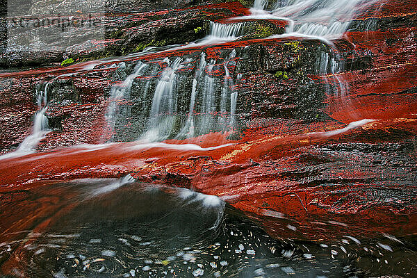 Karminrot schimmerndes Bachbett aus eisenhaltigem Gestein  Waterton Lakes National Park  Alberta  Kanada; Alberta  Kanada