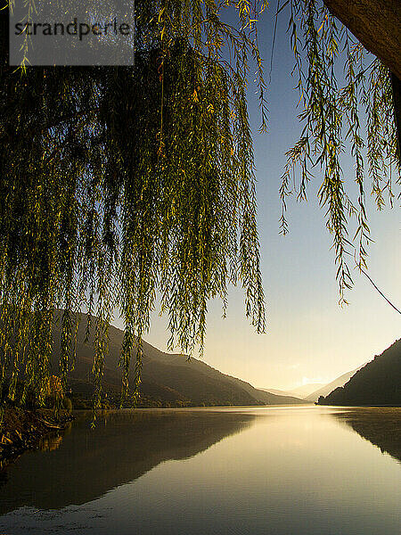 Die umliegenden Hügel spiegeln sich in der glasigen Oberfläche des Douro-Flusses; Douro-Tal  Portugal