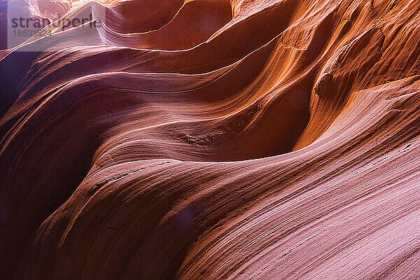 Slot Canyon in der Nähe von Page  Arizona. Wind und Wasser erzeugen erstaunliche Streifen im Sandstein in einem atemberaubenden Beispiel für Erosion; Page  Arizona  Vereinigte Staaten von Amerika