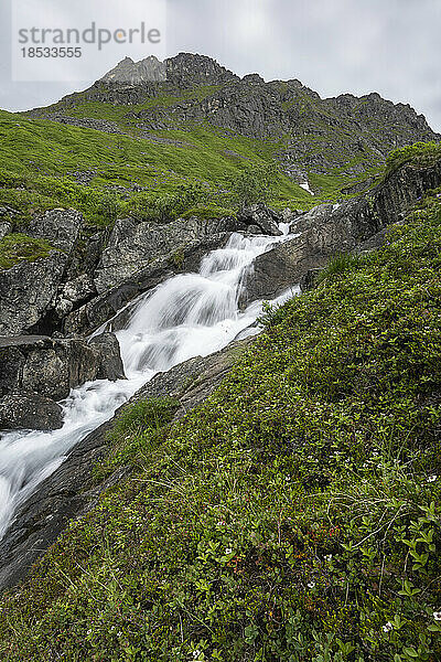 Ein Gletscherwasserfall  der über eine felsige Klippe an einem grünen Berghang am Archangel Hatcher Pass unter einem grauen  bewölkten Himmel in der Nähe der Independence Mine fließt; Palmer  Alaska  Vereinigte Staaten von Amerika