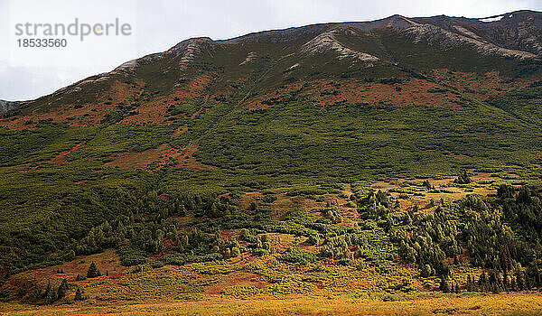 Sonnenbeschienene Berghänge und atemberaubende Herbstlandschaften entlang des 142 Meilen langen Sterling Highway; Alaska  Vereinigte Staaten von Amerika