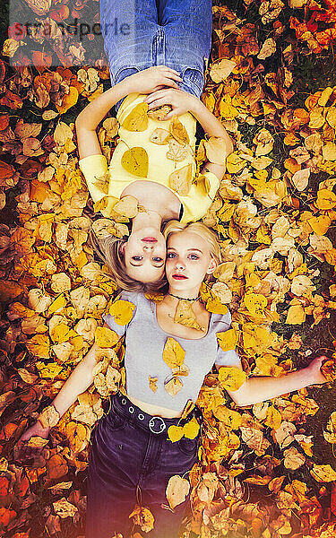 Porträt von zwei Mädchen im Teenageralter  die an einem warmen Herbsttag im Laub auf dem Boden liegen und in die Kamera schauen; St. Albert  Alberta  Kanada.