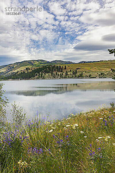 Sommerliche Wildblumen und die Hügel um den Conconully-Stausee in Zentral-Washington  USA; Okanogan  Washington  Vereinigte Staaten von Amerika