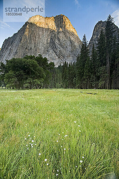 Blick auf Cathedral Rocks und Wiese im Yosemite-Nationalpark  Cathedral Rocks Yosemite Valley  Kalifornien  USA; Kalifornien  Vereinigte Staaten von Amerika