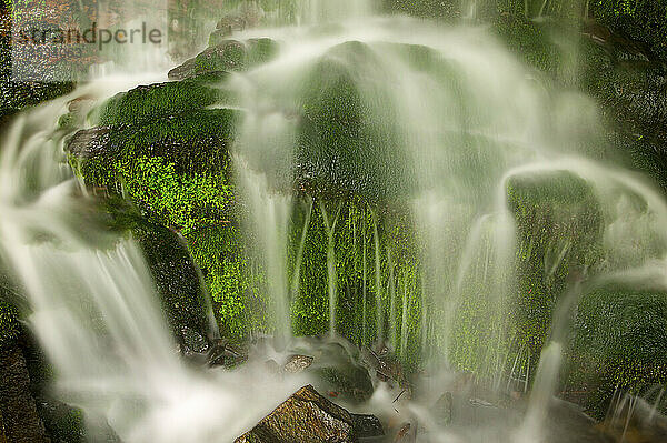 Nahaufnahme einer Bewegungsunschärfe mit Wasser  das über einen moosbewachsenen Felsbrocken an der Straße Newfound Gap im Great Smoky Mountains National Park  Tennessee  USA; Tennessee  Vereinigte Staaten von Amerika