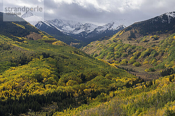 Der Herbst hält Einzug in die Landschaft von Colorado. Die Espenbäume sind golden und auf den Berggipfeln sammelt sich Schnee an; Colorado  Vereinigte Staaten von Amerika