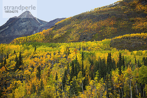Spektakuläre Ausblicke auf die Herbstfarben und Berge entlang des Glenn Highway; Alaska  Vereinigte Staaten von Amerika