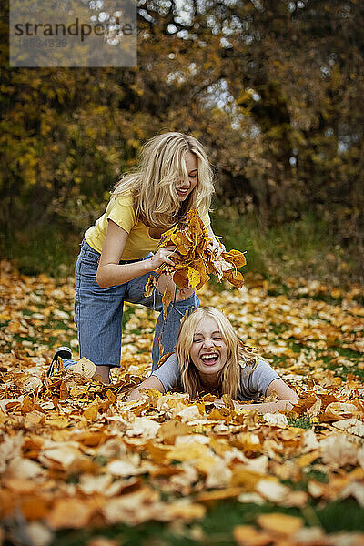 Zwei Mädchen im Teenageralter spielen mit den Blättern und haben Spaß in einem Stadtpark an einem warmen Herbstnachmittag; St. Albert  Alberta  Kanada.