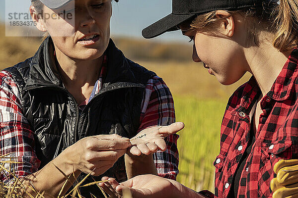 Eine Landwirtin sitzt auf dem Feld und unterrichtet ihren Lehrling in modernen Anbautechniken für Raps  die drahtlose Technologien und landwirtschaftliche Software nutzen; Alcomdale  Alberta  Kanada