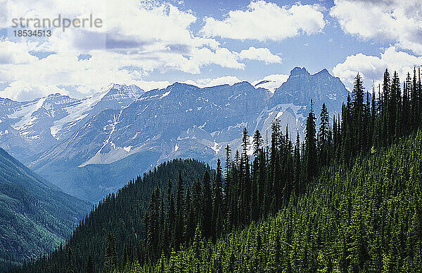 Blick auf die Rocky Mountains im Yoho National Park  BC  Kanada; British Columbia  Kanada