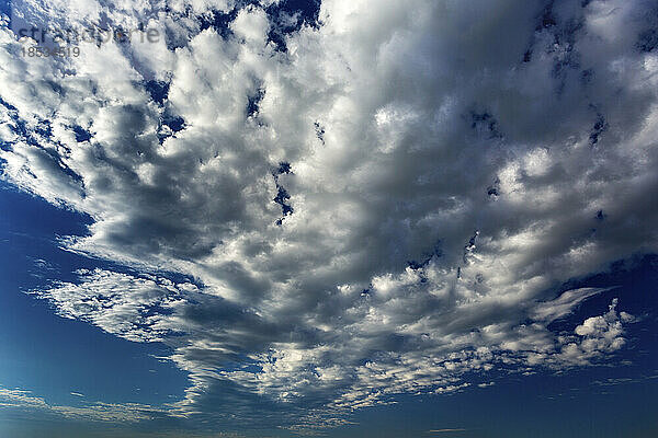 Dramatische Wolken an einem dunkelblauen Himmel; Calgary  Alberta  Kanada