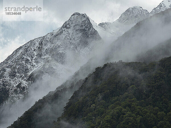 Nebel steigt von einem bewaldeten Berghang entlang des Milford Track auf; Milford Sound  Milford Track  Südinsel  Neuseeland