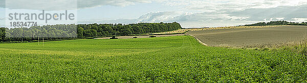 Landschaftliche Ansicht von grünen Ackerflächen und Weizenfeldern in der Umgebung von Rockbourne  in der Nähe von Salisbury  unter bewölktem Himmel; Wiltshire  England