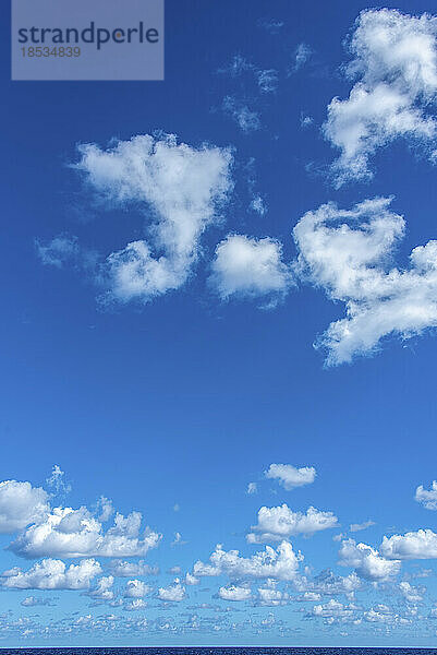 Wolken in einem blauen Himmel über dem Meer; Florida Keys  Florida  Vereinigte Staaten von Amerika