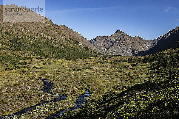 Blick auf den Williwaw Peak in der Chugach Mountain Range entlang des Williwaw Lakes Trail  mit Bächen  die im Herbst durch das Tal fließen  Chugach State Park; Anchorage  Alaska  Vereinigte Staaten von Amerika