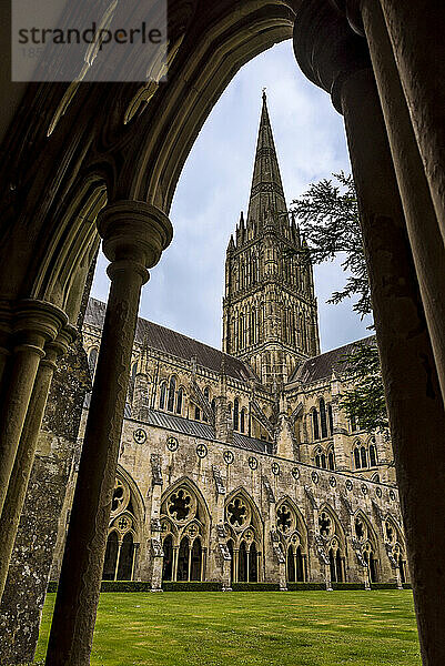 Blick durch den Torbogen des Kreuzgangs in den Innenhof der Kathedrale von Salisbury aus dem 13. Jahrhundert; Salisbury  Wiltshire  England  Vereinigtes Königreich